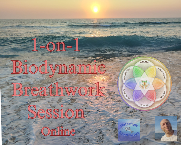 1-on-1-BBTRS-Session-Online-600×480